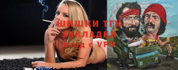 трава Пересвет