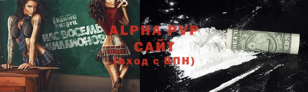 трава Пересвет