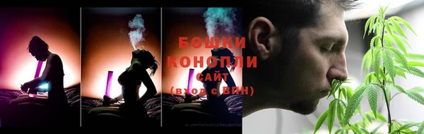 спиды Пестово