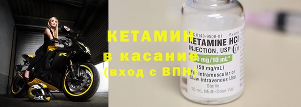 трава Пересвет