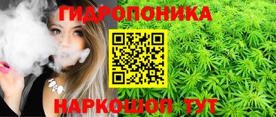стаф Аргун