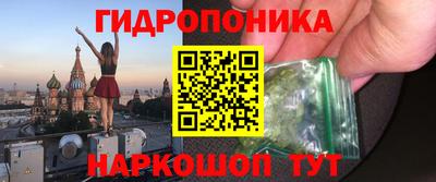 стаф Аргун