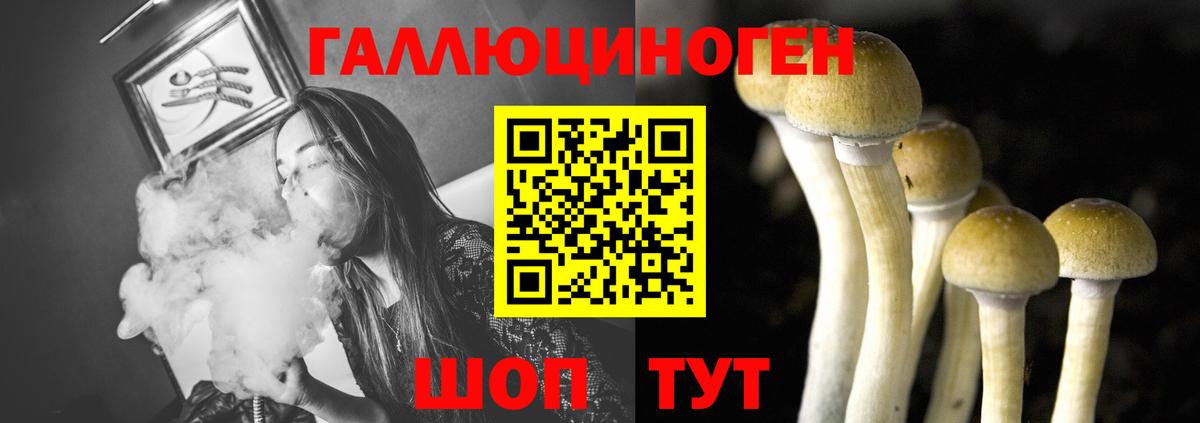 Псилоцибиновые грибы GOLDEN TEACHER  купить наркотик  Белебей 